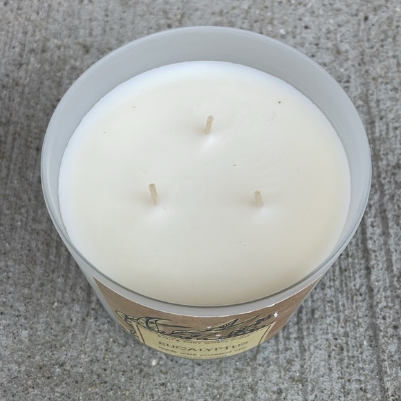 Bath and Body Works Eucalyptus 3 Wick Candle NEW Copper Lid Stress Relief Spa - Picture 3 of 3